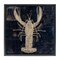 Stupell Industries Lobster Contour over Map Floating Frame, design by Sasha